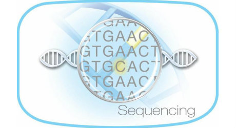 ngs sequence analysis
